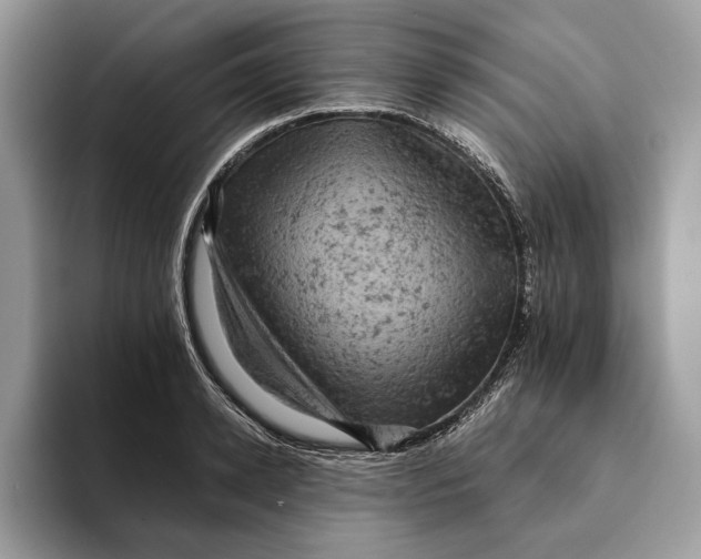 X0000093170942200710171225