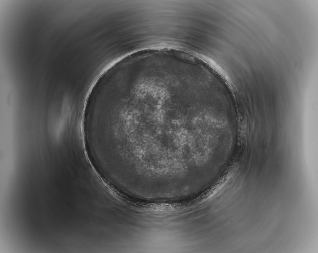 X0000093170943200710171225