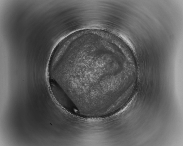 X0000093170944200710171225