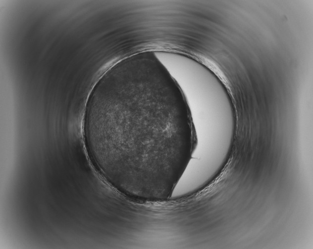 X0000093170946200710171225