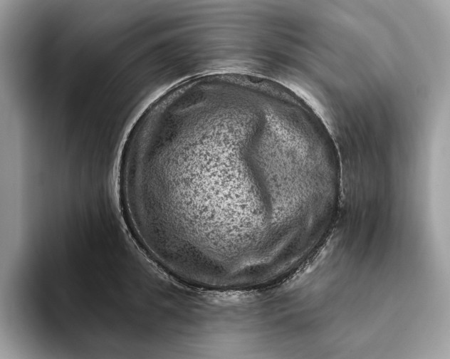 X0000093170949200710171225