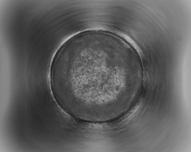 X0000093170951200710171225