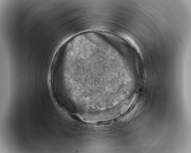 X0000093170952200710171225