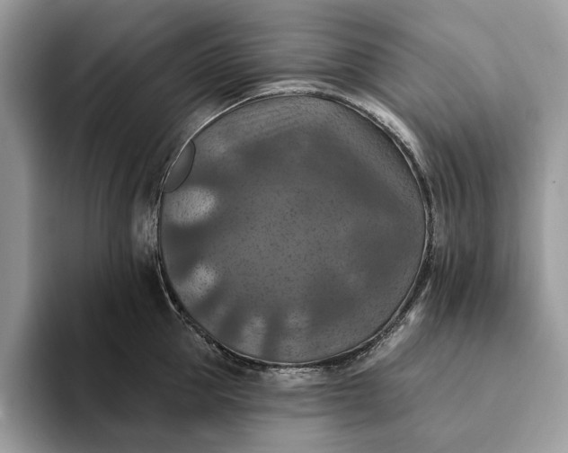 X0000093170953200710171225