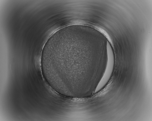 X0000093170954200710171225