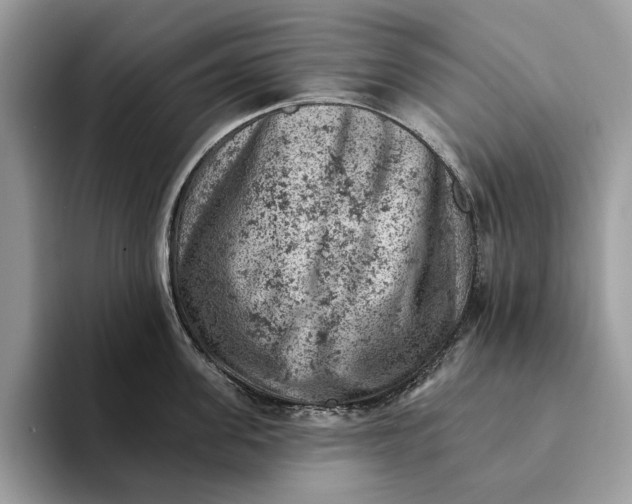 X0000093170955200710171225