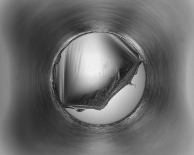 X0000093170956200710171225