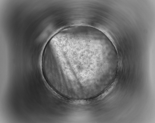 X0000093170957200710171225