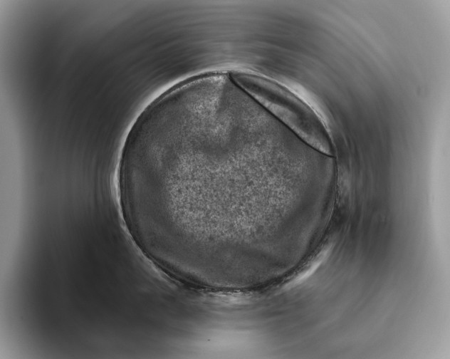 X0000093170959200710171226