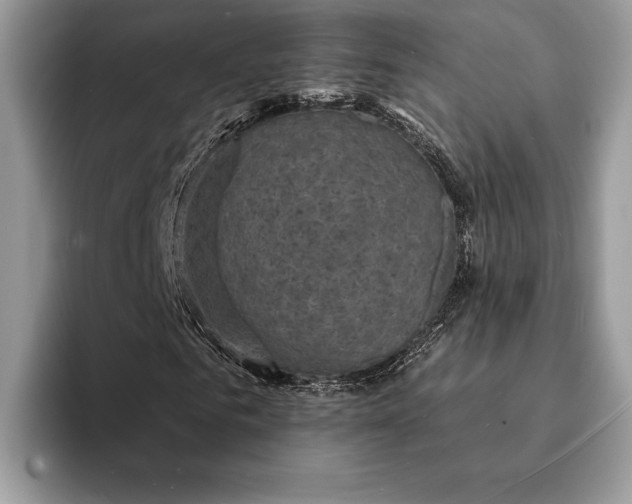 X0000093170961200710171225