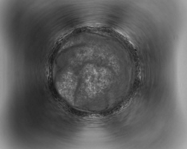 X0000093170966200710171225