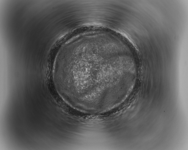 X0000093170967200710171225