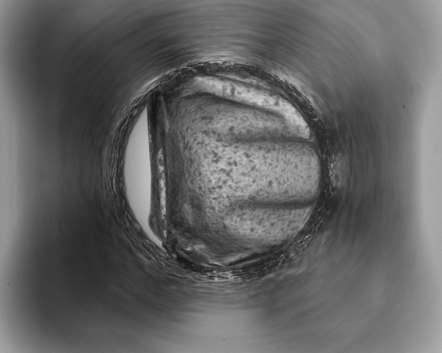 X0000093170968200710171225