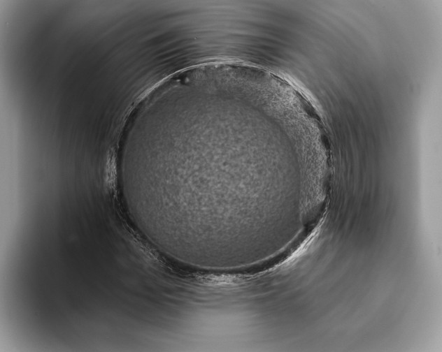 X0000093170969200710171225