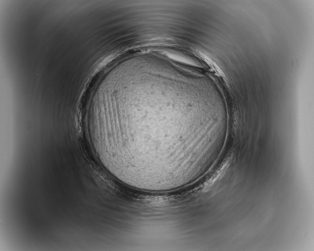 X0000093170970200710171225