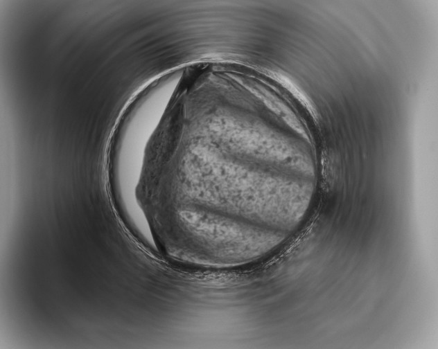 X0000093170972200710171225