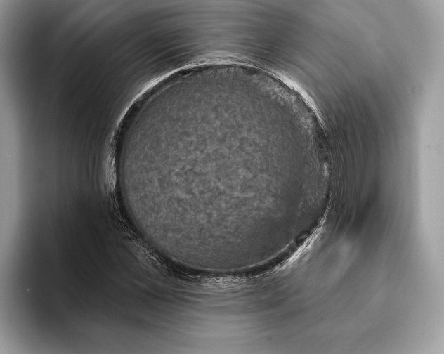 X0000093170973200710171225