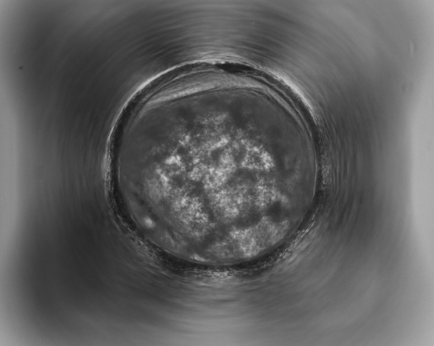 X0000093170975200710171225