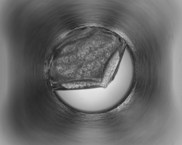 X0000093170977200710171225