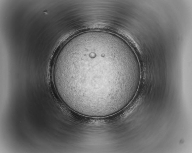 X0000093170978200710171225