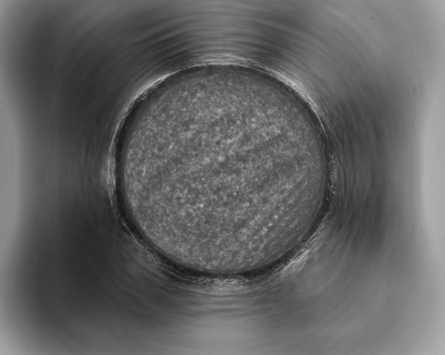 X0000093170979200710171225