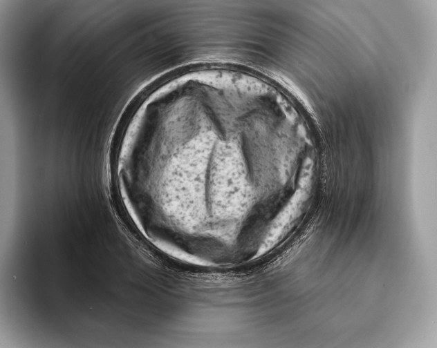 X0000093170980200710171225