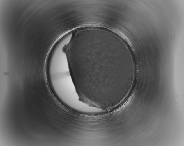 X0000093170981200710171225