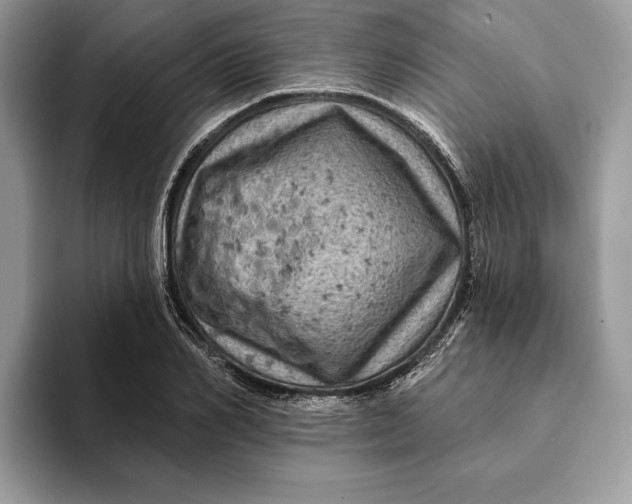 X0000093170982200710171225