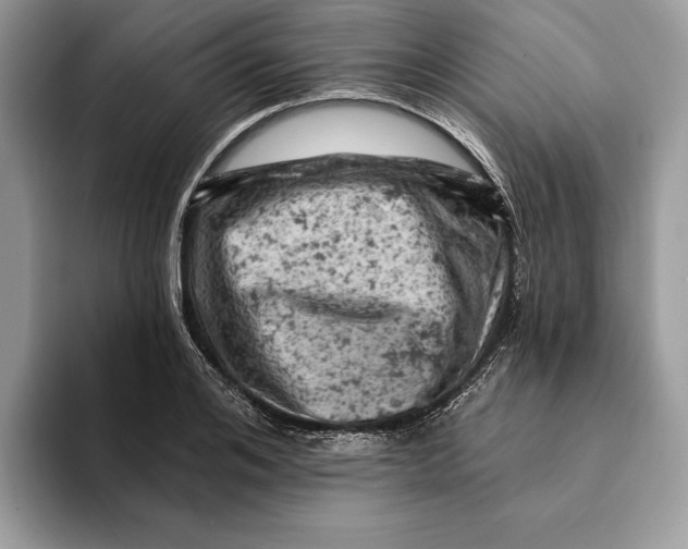 X0000093170984200710171225