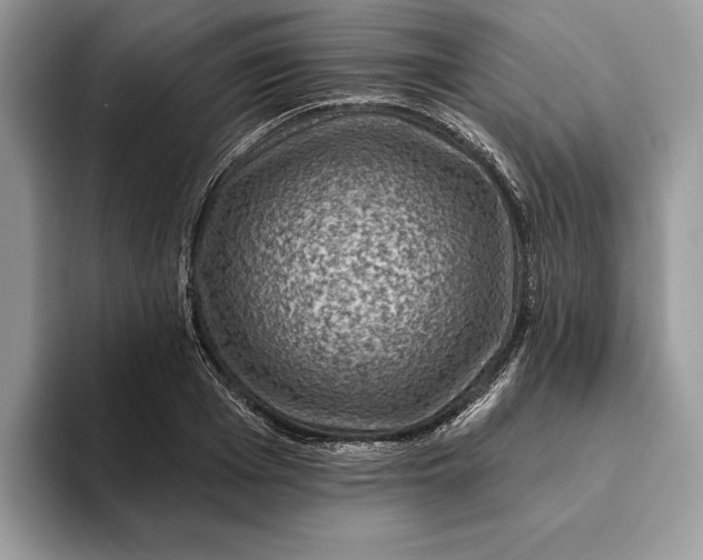 X0000093170985200710171225