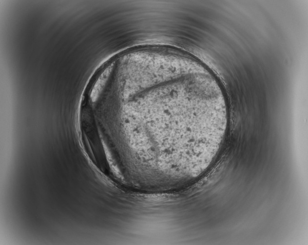 X0000093170988200710171225