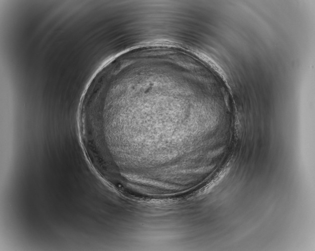 X0000093170989200710171225