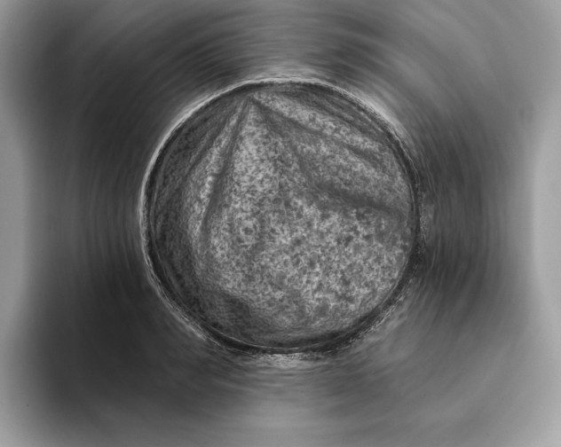 X0000093170990200710171225