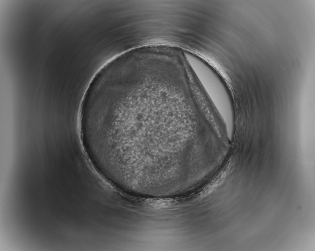 X0000093170991200710171225