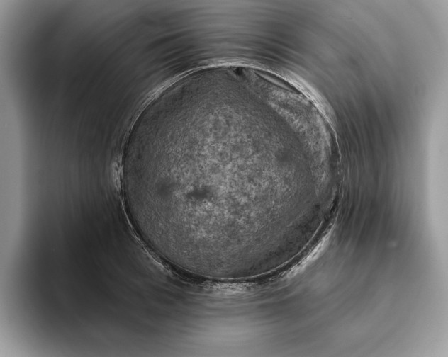 X0000093170993200710171225