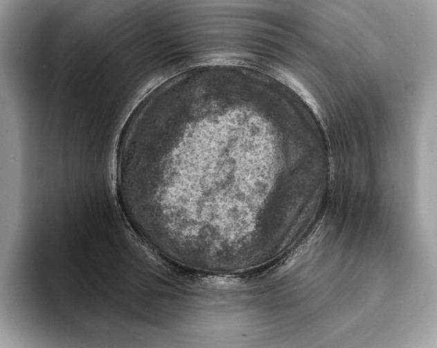 X0000093170994200710171225