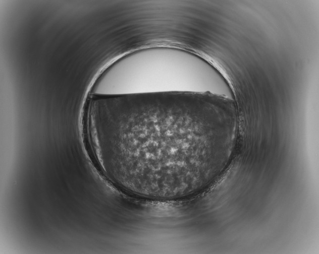 X0000093170995200710171225