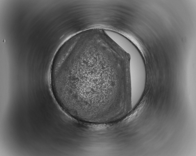 X0000093170999200710171225