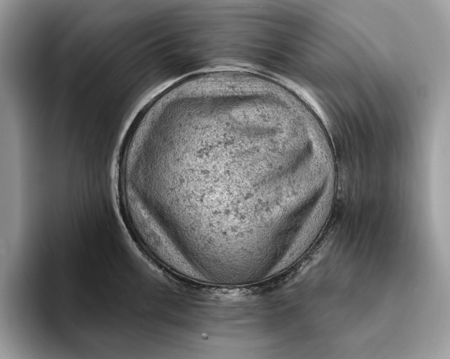 X0000093171003200710171224