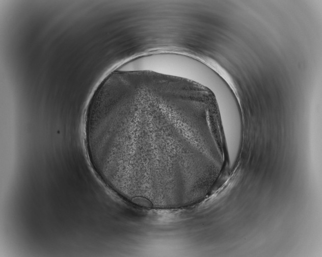 X0000093171005200710171224