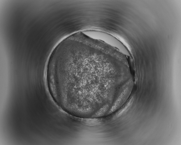 X0000093171007200710171224