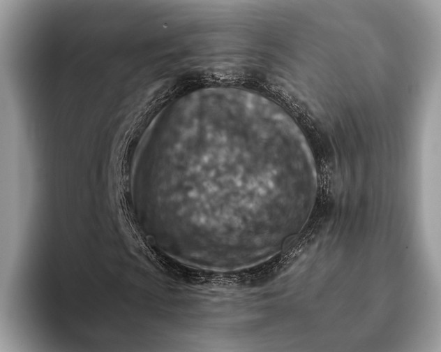 X0000093171009200710171224