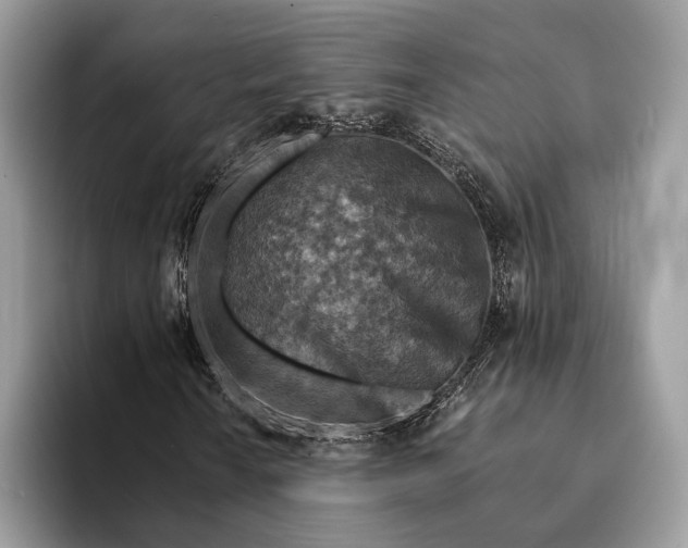 X0000093171010200710171224