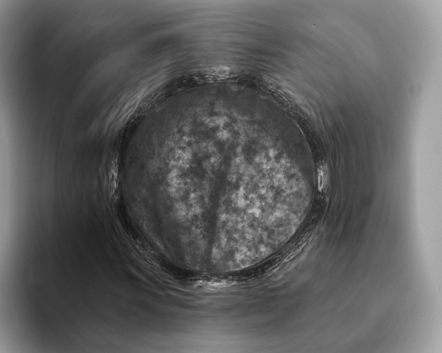 X0000093171011200710171224