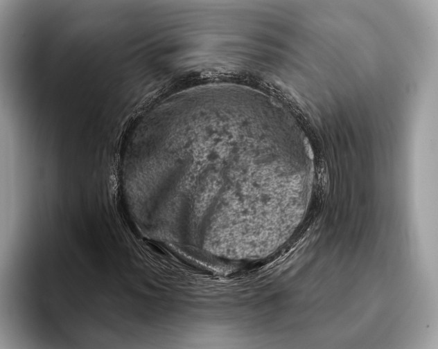 X0000093171012200710171224