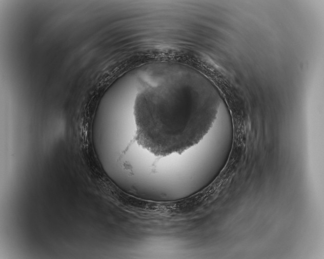 X0000093171013200710171224