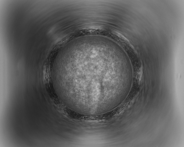 X0000093171014200710171224