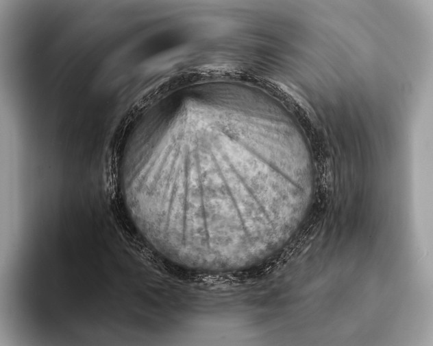 X0000093171015200710171224