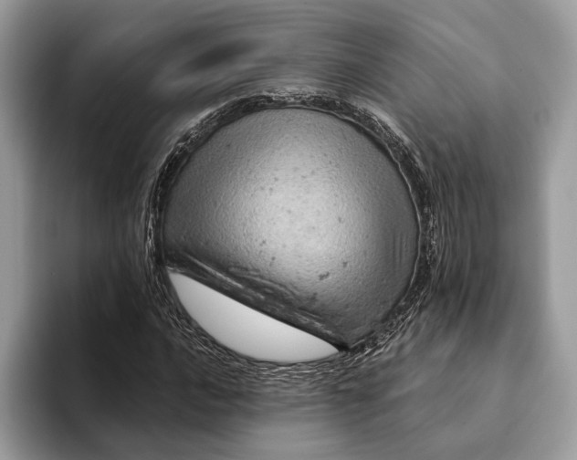 X0000093171016200710171224