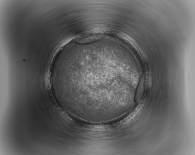 X0000093171018200710171224